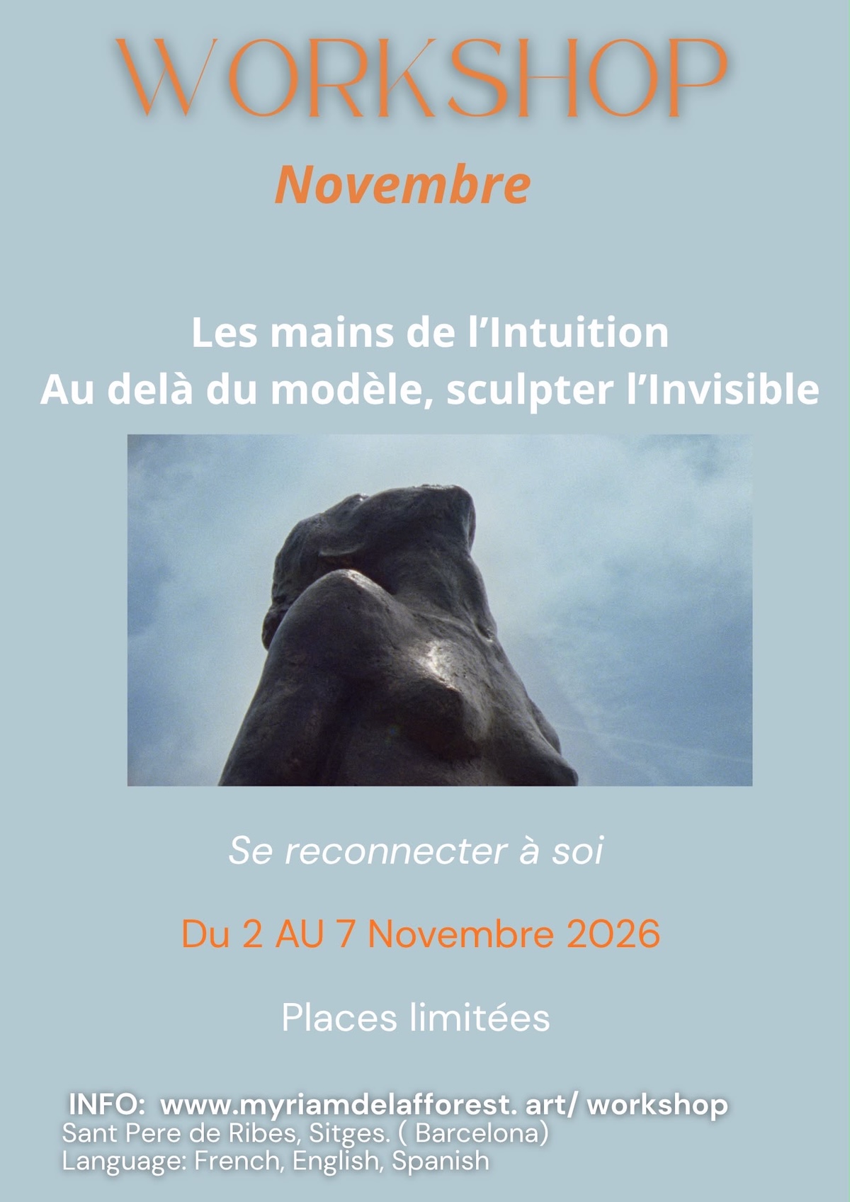 Affiche du stage workshop de novembre 2026